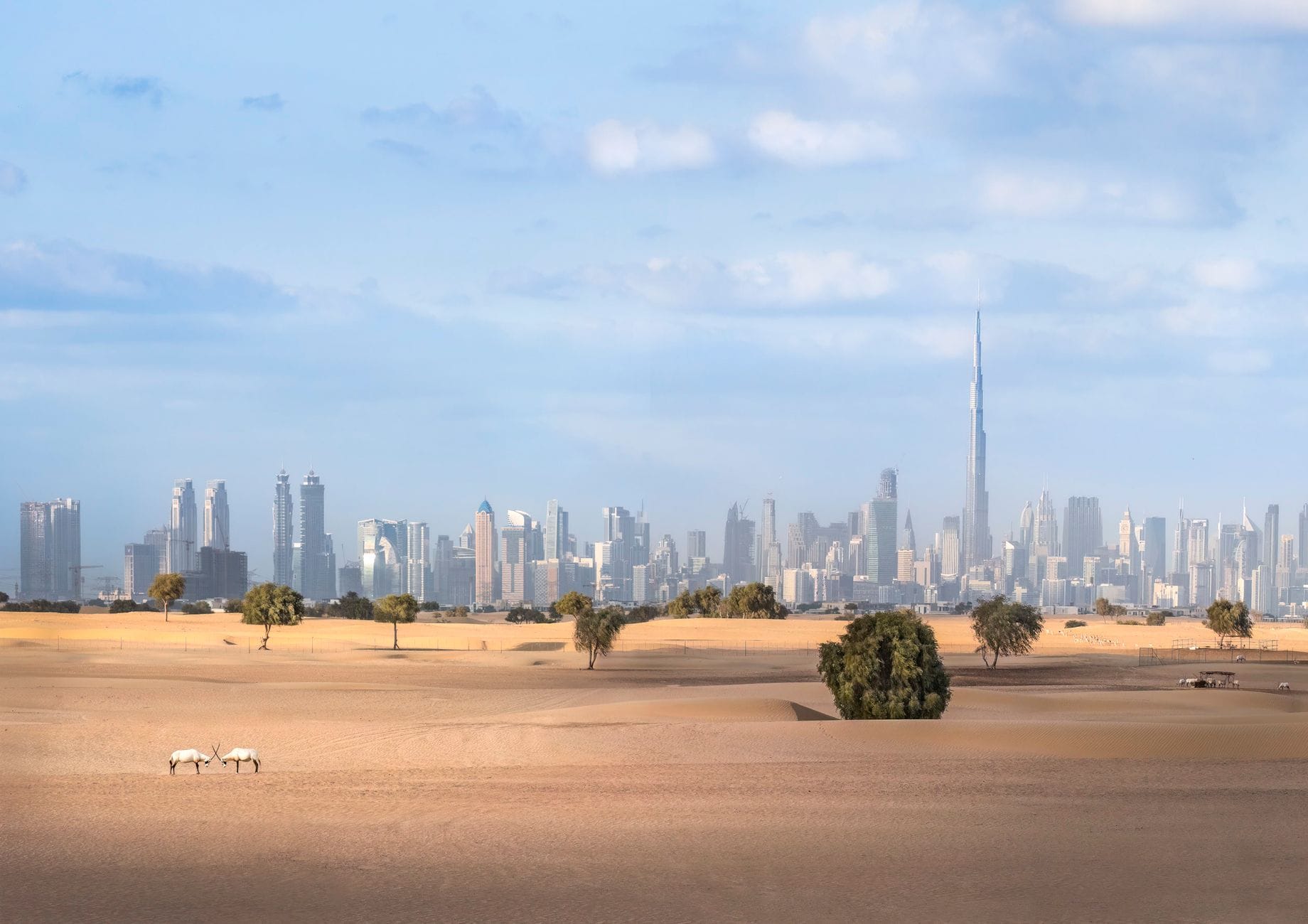 Panorama Dubaju z Burdż Chalifa i pustynią na pierwszym planie