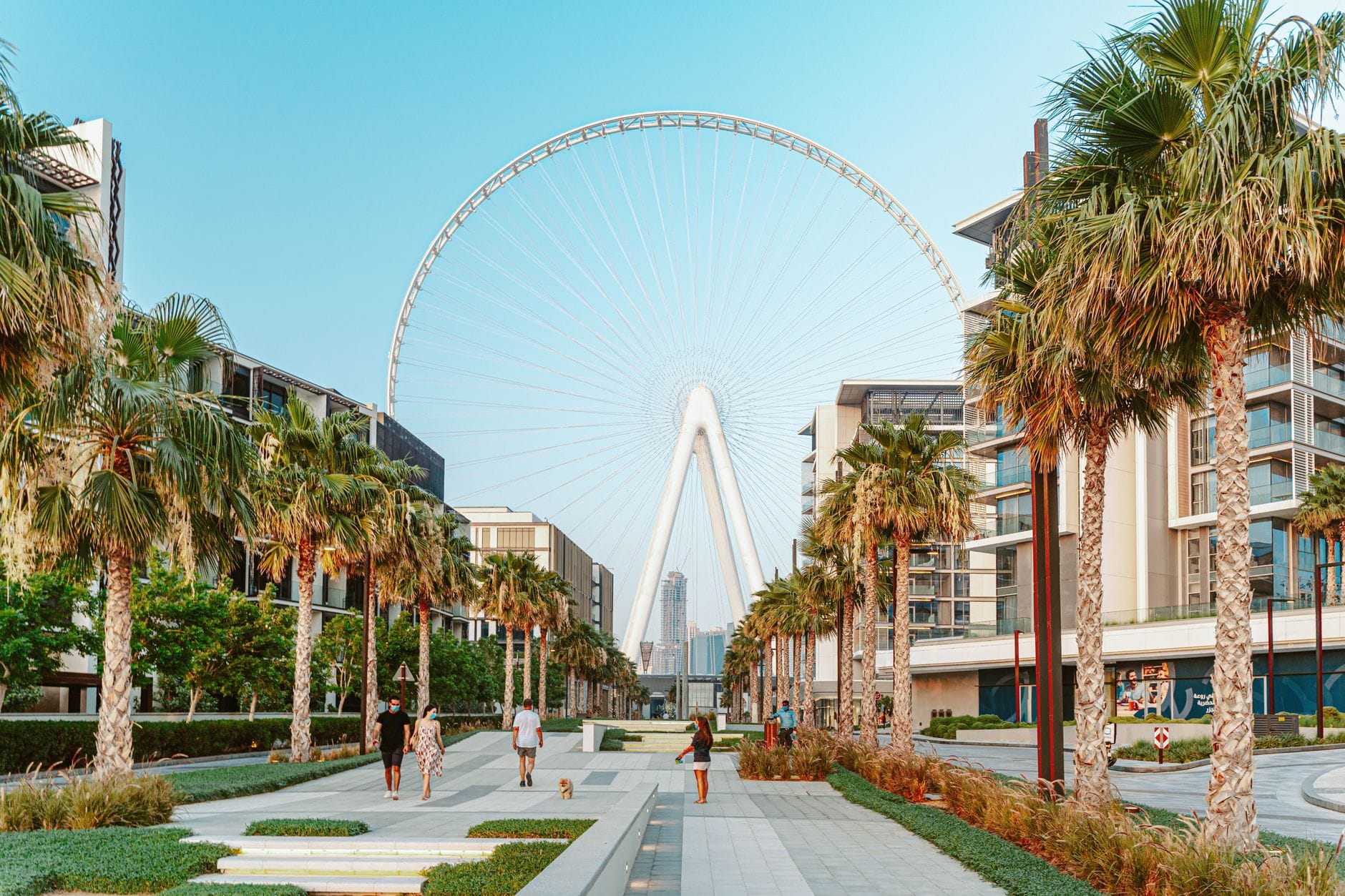 Panorama Dubaju z kołem Ain Dubai i alejką wśród palm