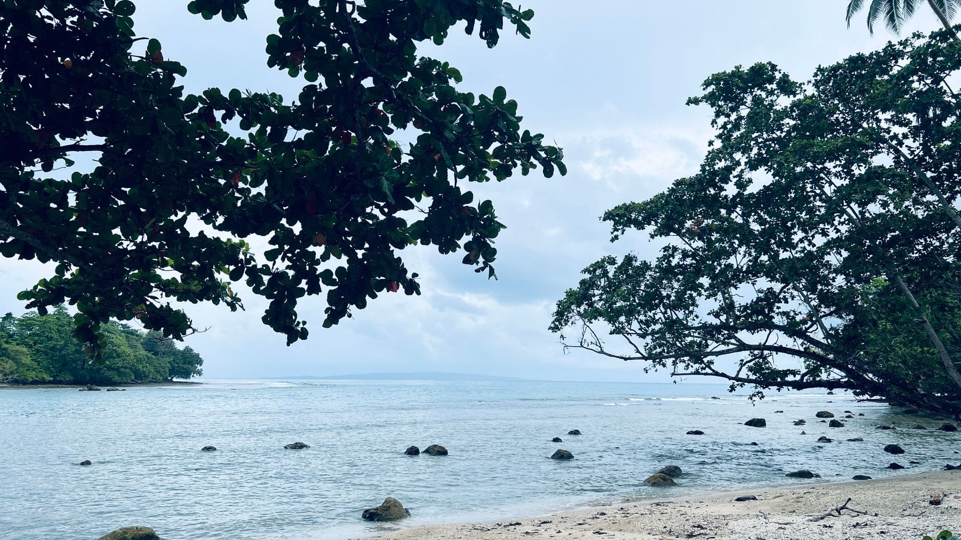 Spokojna tropikalna plaża w Tajlandii z bujnymi drzewami i łagodnymi falami